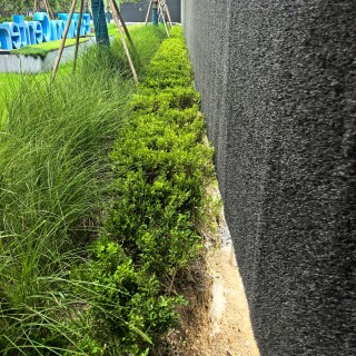 1d73ad6b1d61f365e2e3b96d360db566